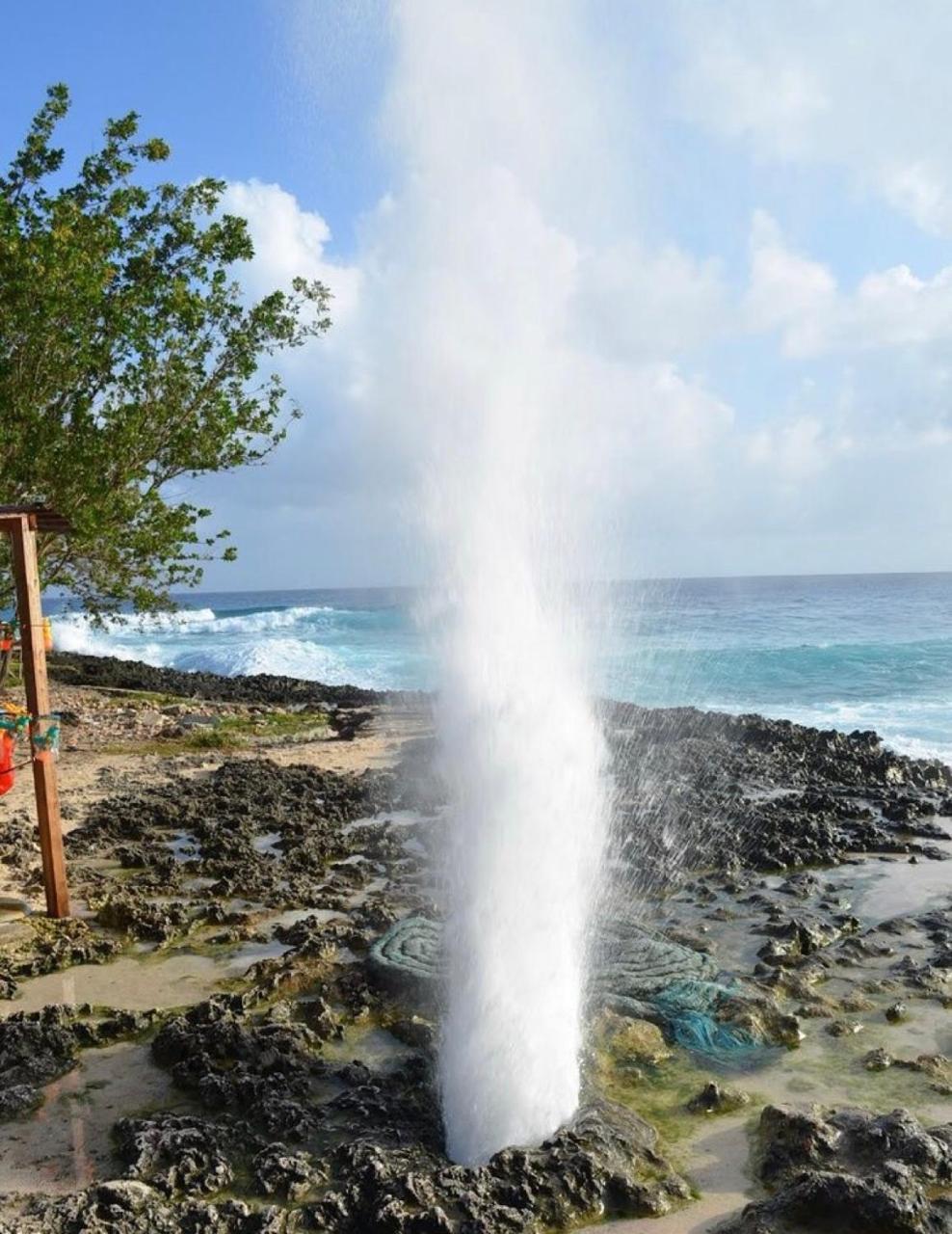 Adyam B & B San Andrés Eksteriør bilde